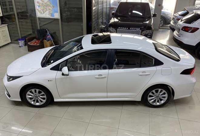 Toyota Corolla-8