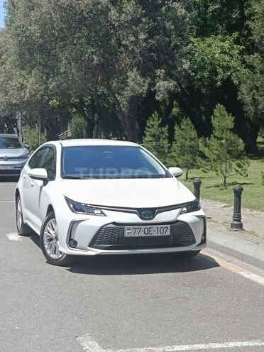 Toyota Corolla-1