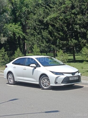 Toyota Corolla-4