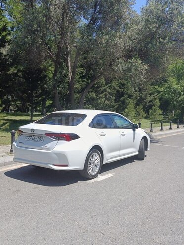 Toyota Corolla-6