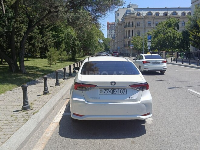 Toyota Corolla-9