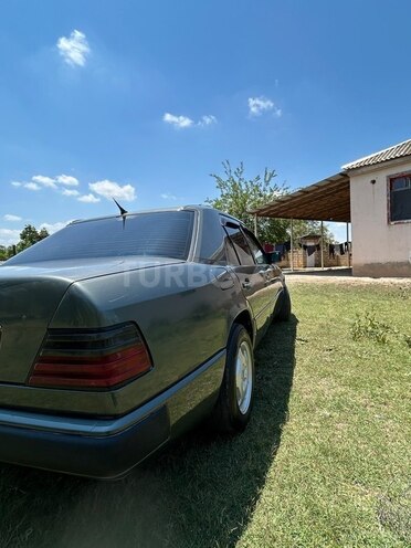 Mercedes 250 D-6