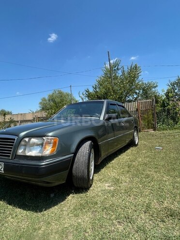 Mercedes 250 D-4