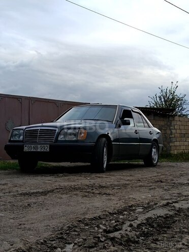 Mercedes 250 D-1