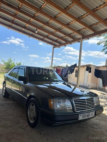 Mercedes 250 D-12