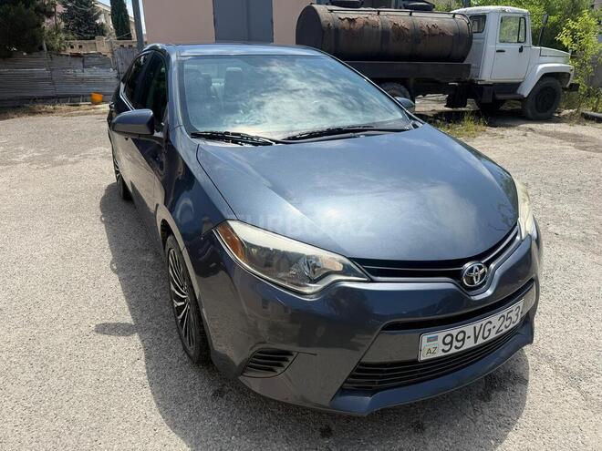 Toyota Corolla-1