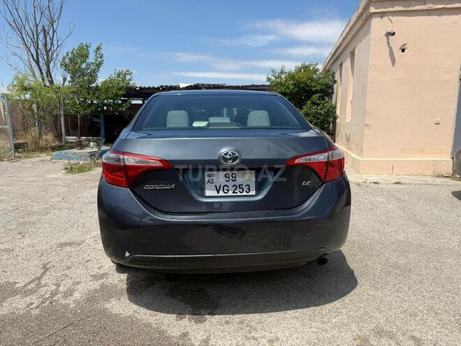 Toyota Corolla-2