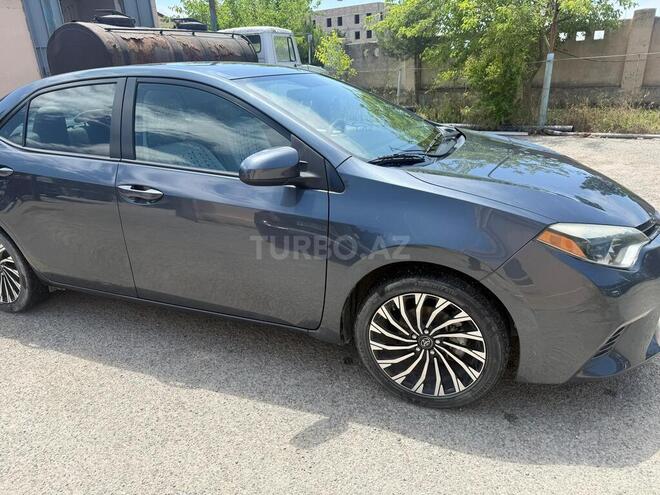 Toyota Corolla-3