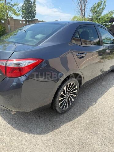 Toyota Corolla-4