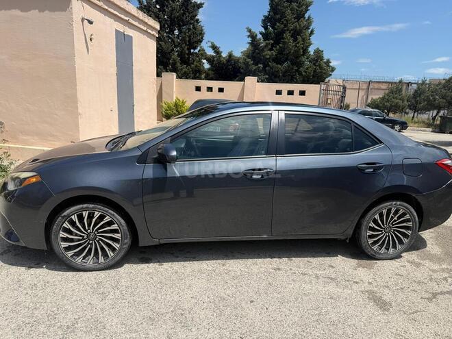 Toyota Corolla-7