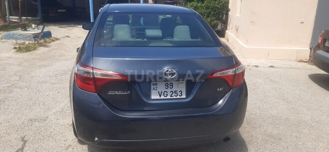 Toyota Corolla-8