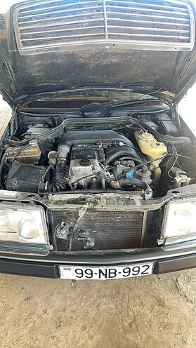 Mercedes 250 D-13