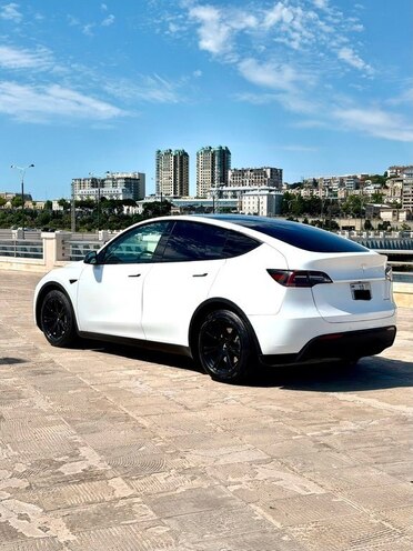 Tesla Model Y-3