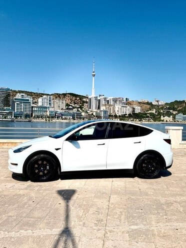 Tesla Model Y-4