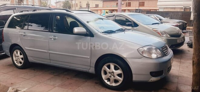 Toyota Corolla-6