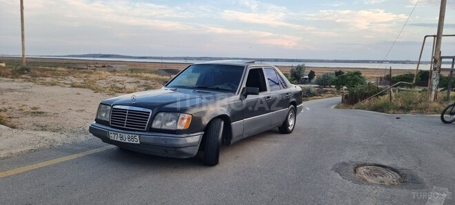 Mercedes 250 D-11