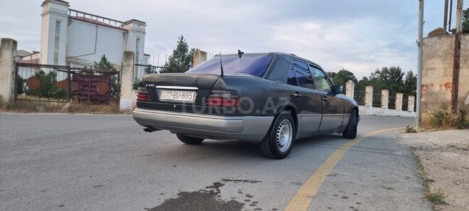 Mercedes 250 D-4