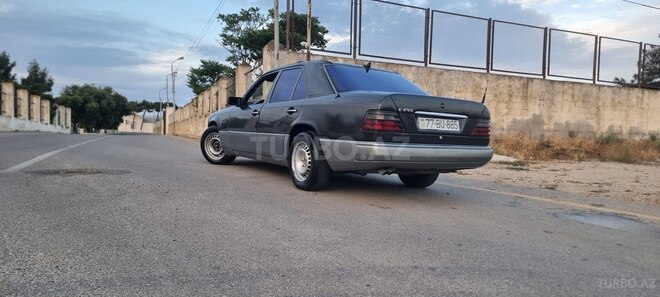 Mercedes 250 D-3