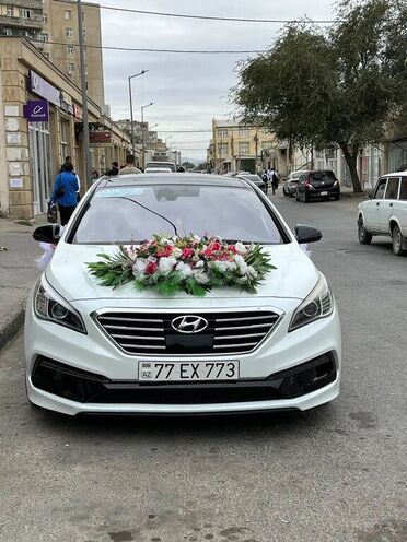 Hyundai Sonata-10