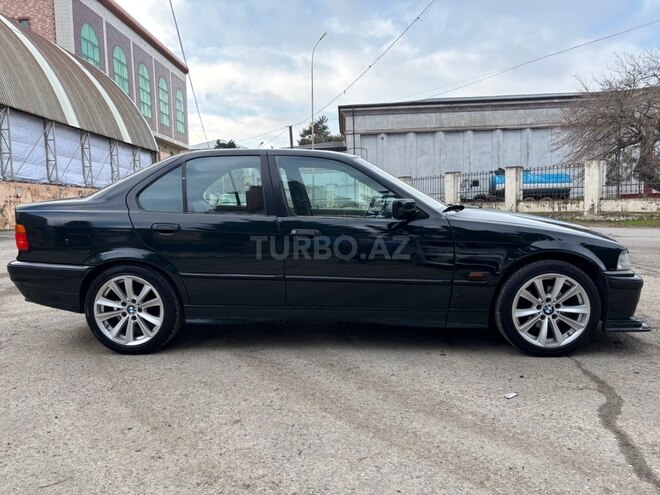 BMW 316-4