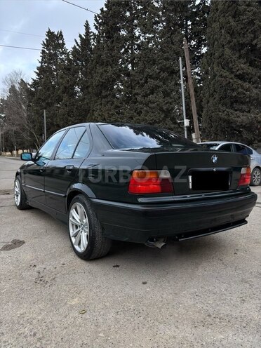 BMW 316-8