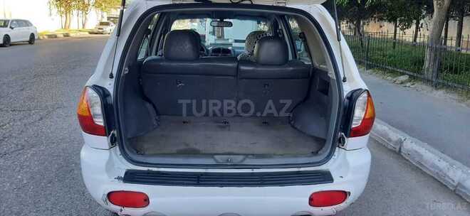 Hyundai Santa Fe-6