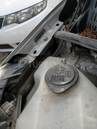 Toyota Prius-15