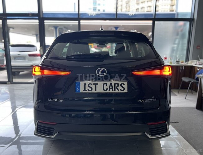 Lexus NX 300h-6