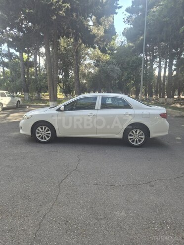 Toyota Corolla-6