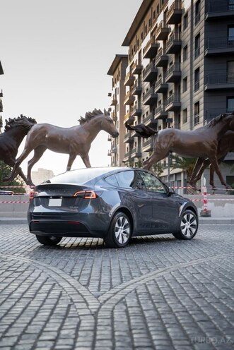 Tesla Model Y-4