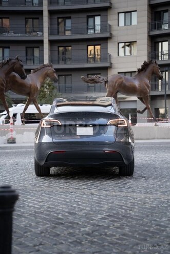 Tesla Model Y-2