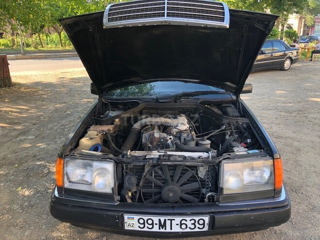Mercedes 250 D-11