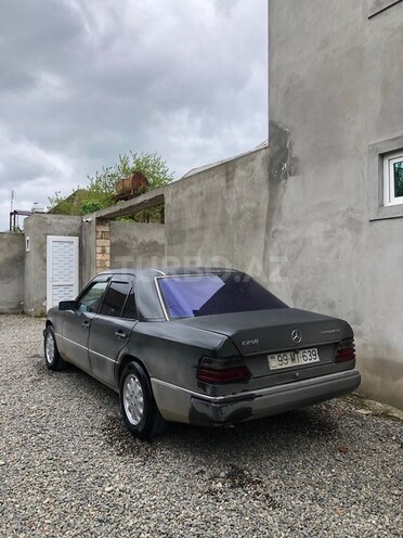 Mercedes 250 D-8