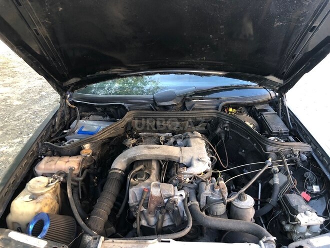 Mercedes 250 D-12