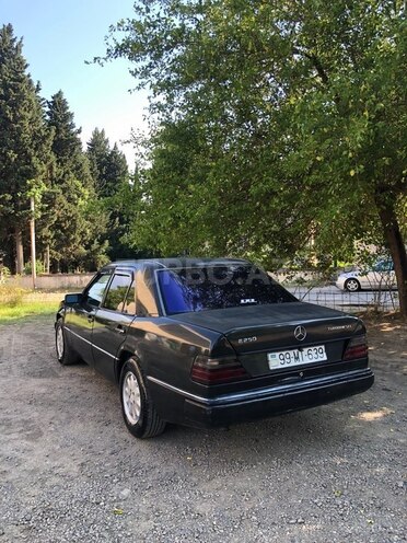 Mercedes 250 D-6