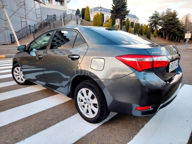 Toyota Corolla-8
