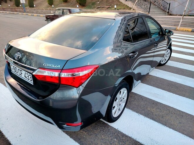 Toyota Corolla-4
