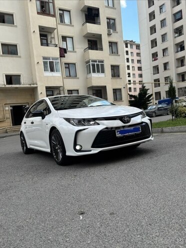 Toyota Corolla-2