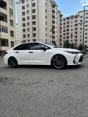 Toyota Corolla-4