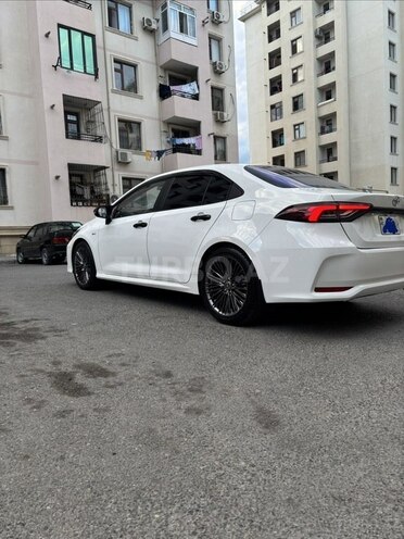 Toyota Corolla-8