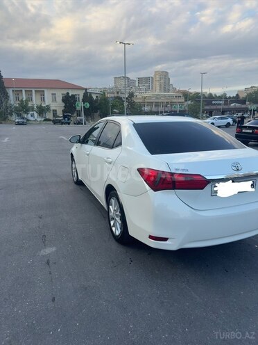 Toyota Corolla-6