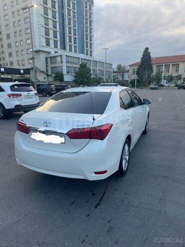 Toyota Corolla-8