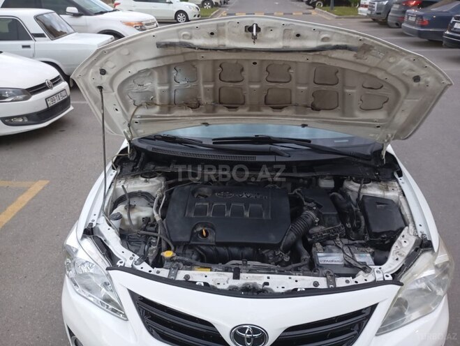 Toyota Corolla-7