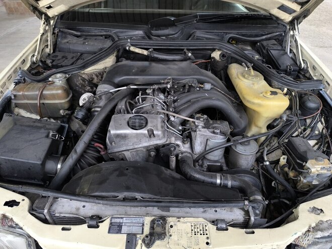 Mercedes 250 D-18