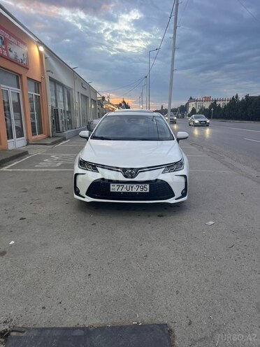 Toyota Corolla-12