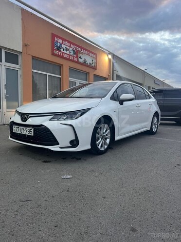 Toyota Corolla-9