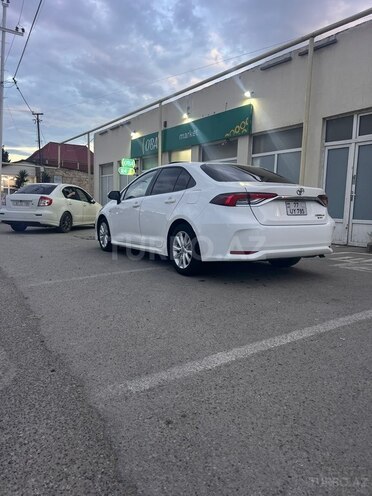 Toyota Corolla-8