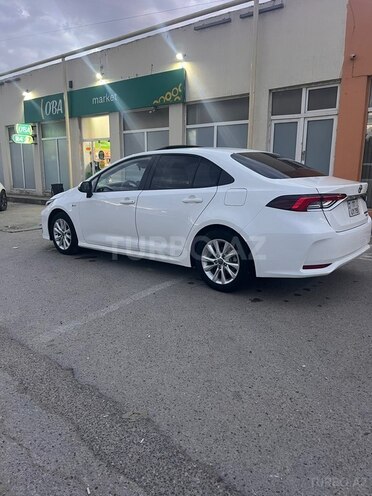 Toyota Corolla-2