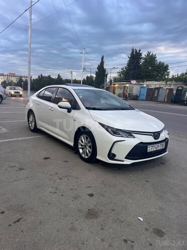 Toyota Corolla-11
