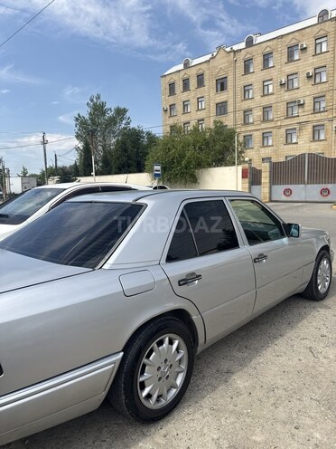 Mercedes 250 D-8